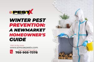 Winter Pest Prevention