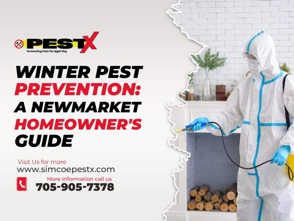 Winter Pest Prevention