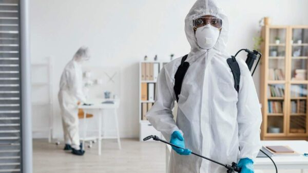 Dealing with Carpenter Ants
