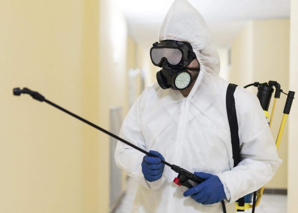 Pest Control services