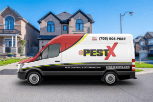 Barrie Pest Control