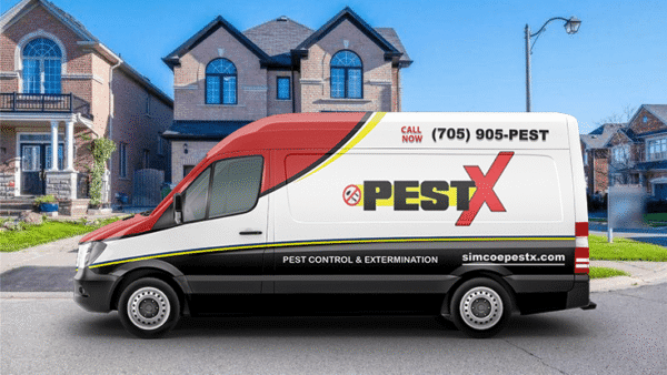 Barrie Pest Control