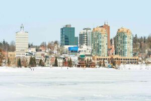 Pest Control Barrie
