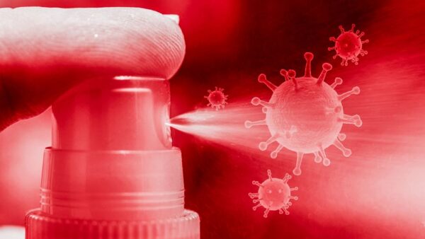 Daily Habits to Prevent Pests