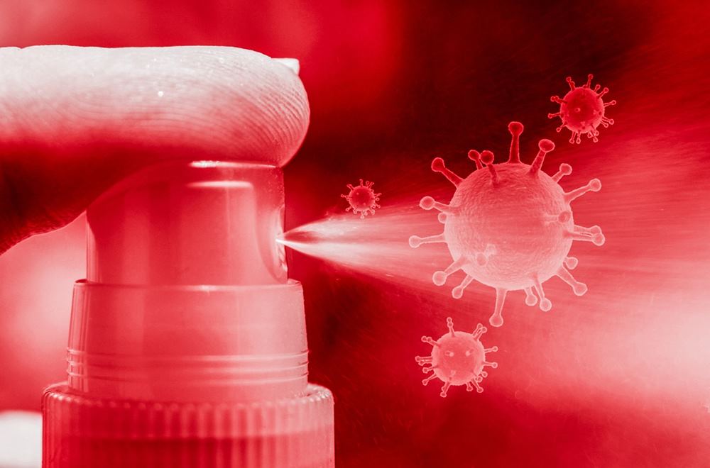 Daily Habits to Prevent Pests
