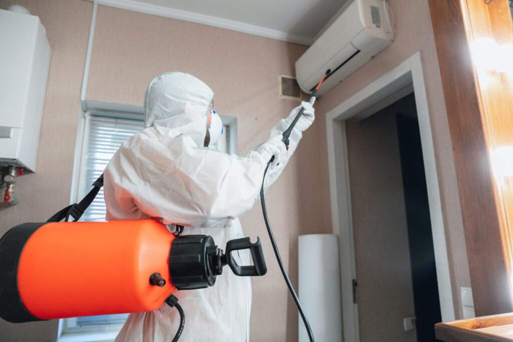 Pest Control in Newmarket