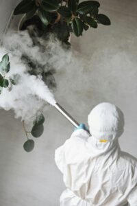 Barrie pest control team providing residential pest inspection services
