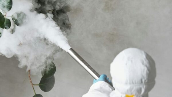 Barrie pest control team providing residential pest inspection services