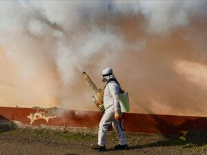 Barrie pest removal experts
