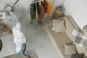Professional exterminators providing pest control treatment for a property