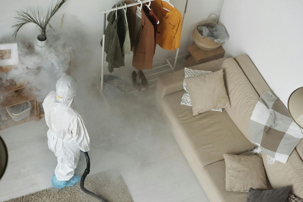 Professional exterminators providing pest control treatment for a property