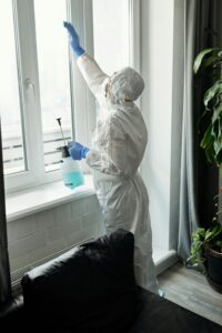 Home pest control professionals checking for insects, rodents, and nesting areas