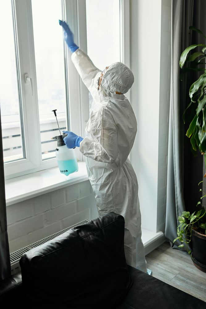 Home pest control professionals checking for insects, rodents, and nesting areas