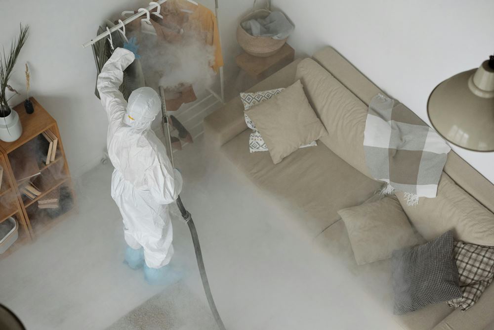 Licensed pest control professionals preparing safe treatment for a home