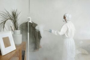 Pest control experts inspecting indoor and outdoor areas for pests