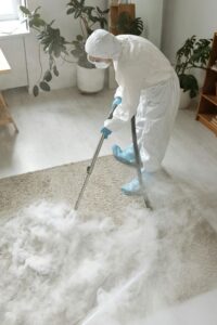 Professional pest removal experts providing safe and effective pest control services