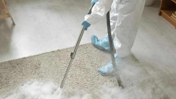 Professional pest removal experts providing safe and effective pest control services