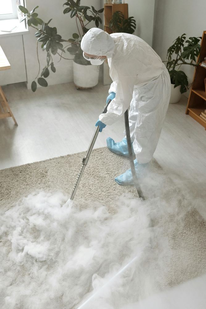 Professional pest removal experts providing safe and effective pest control services