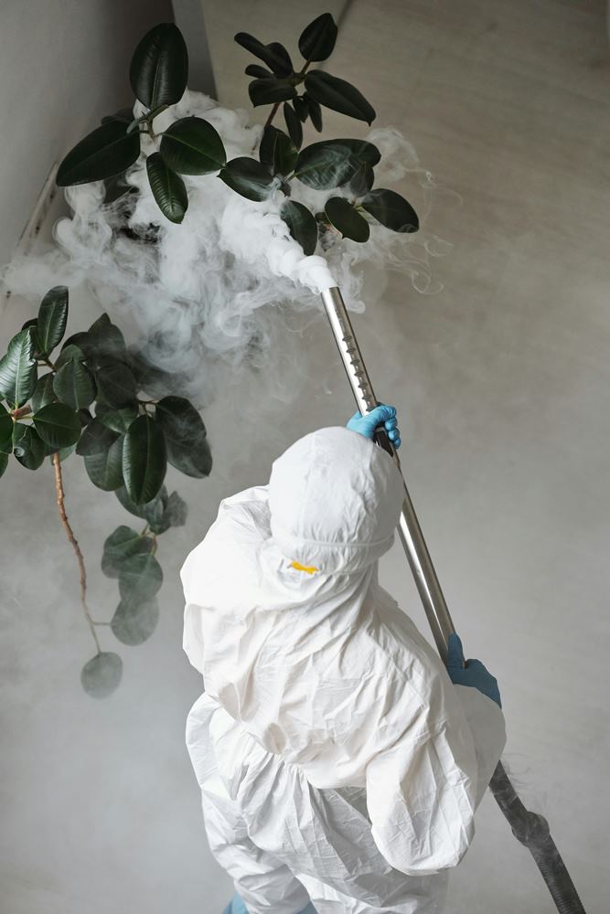 Pest control technician inspecting a home for pest activity and entry points