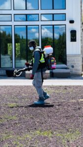Pest Control
