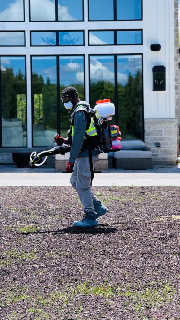 Pest Control in Barrie, Ontario