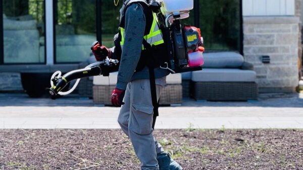 Pest Control