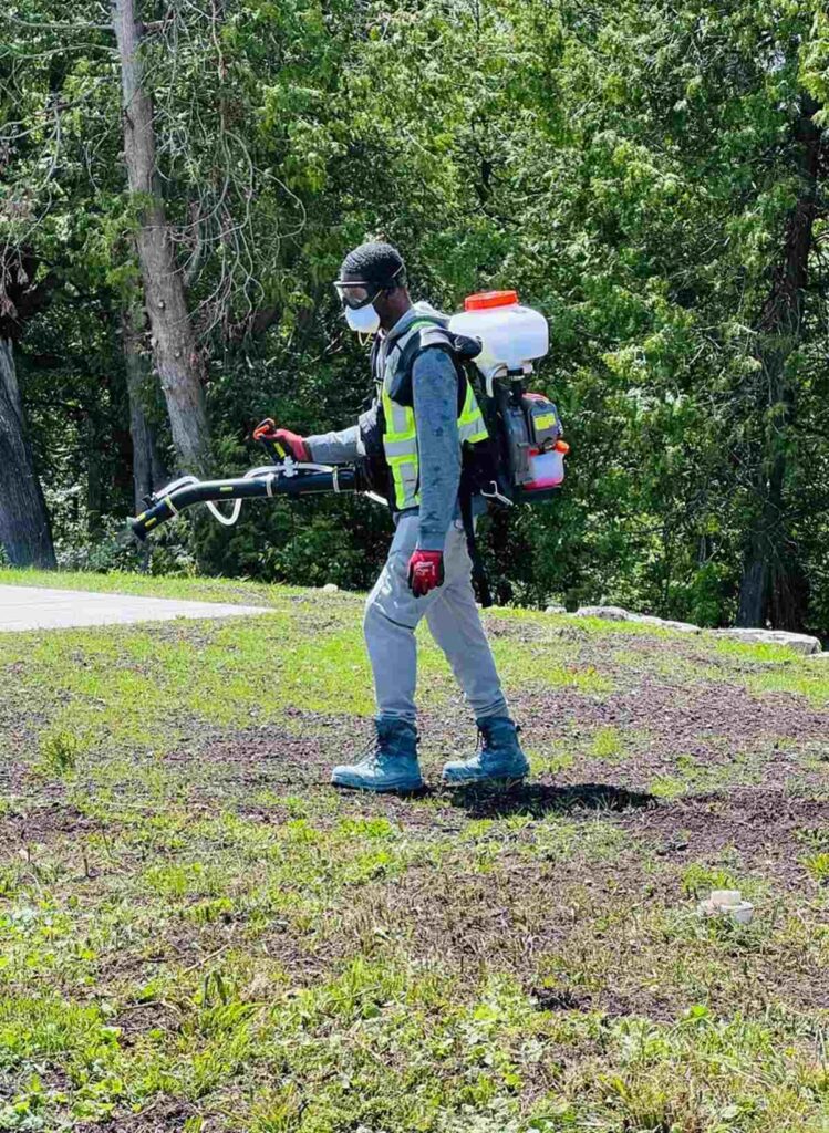 Pest Control Barrie Ontario