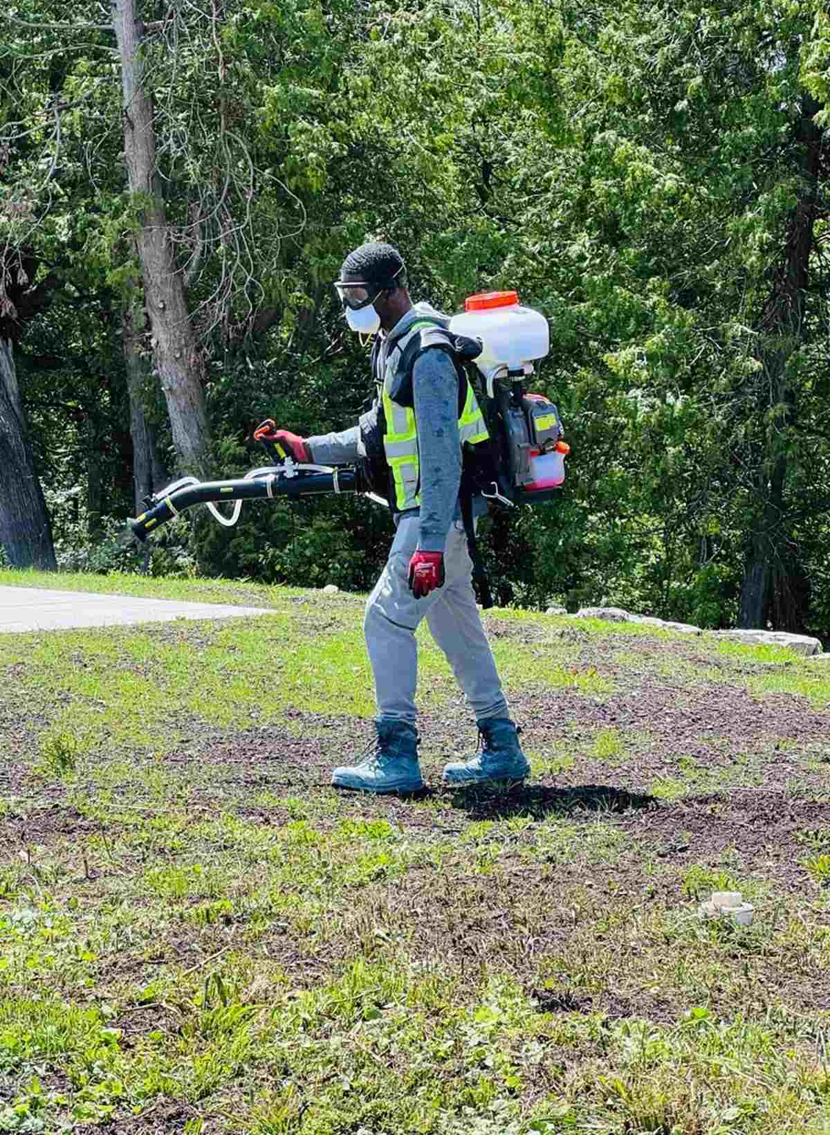 Pest Control Barrie Ontario