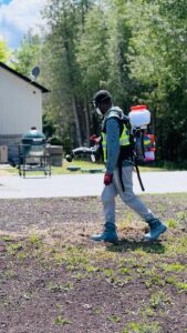 Pest Control