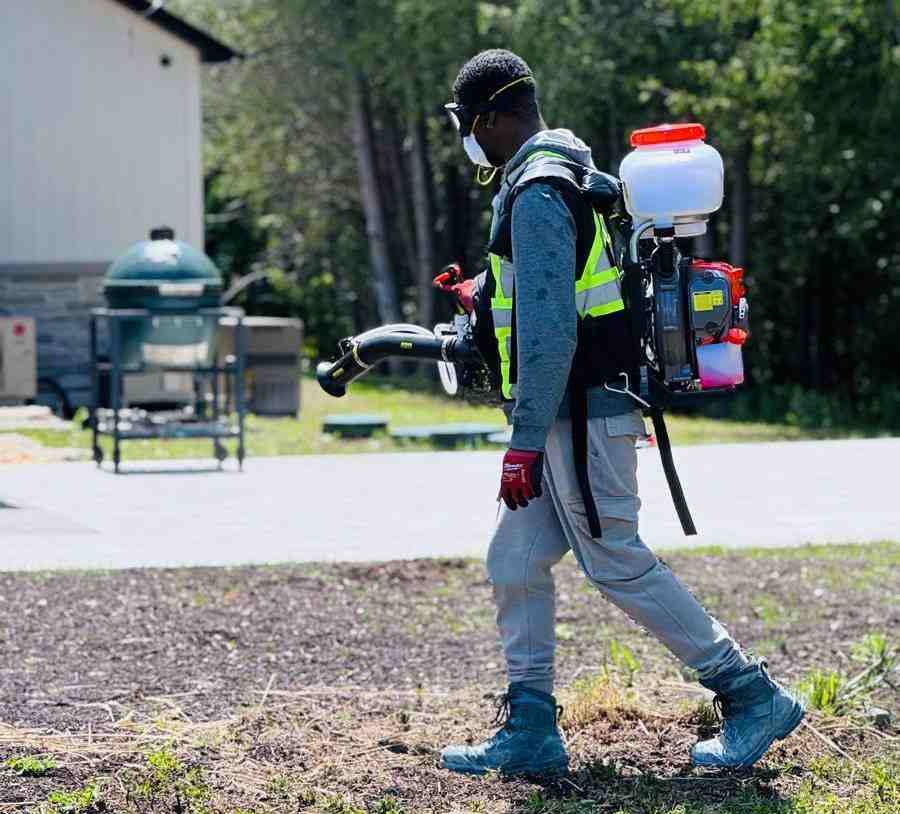 Pest control services in Barrie, Ontario, by Simcoe Pest X
