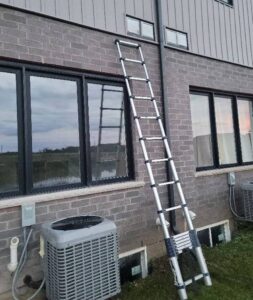 Effective pest control and extermination service in Barrie, Ontario.