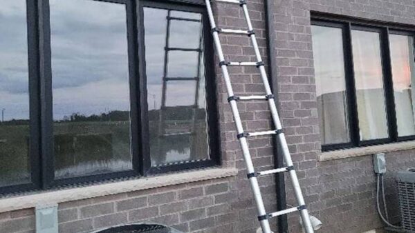 Effective pest control and extermination service in Barrie, Ontario.