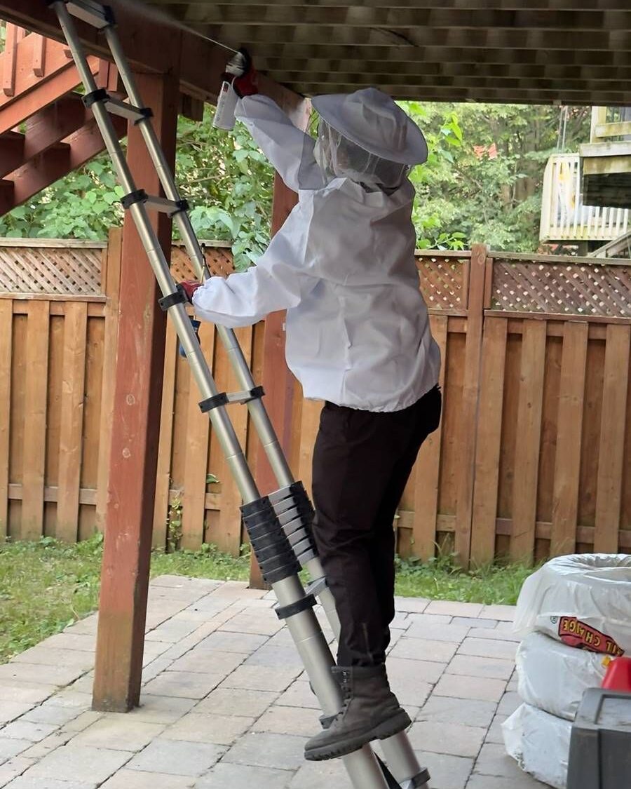 Pest removal services in Barrie, Ontario