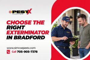 Choose the Right Exterminator in Bradford