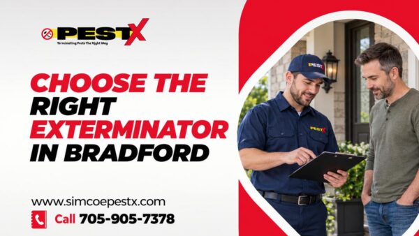 Choose the Right Exterminator in Bradford