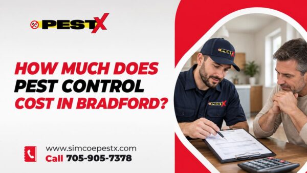 Pest Control Costs