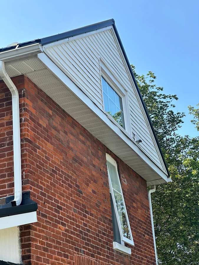 Pest Problems in Barrie