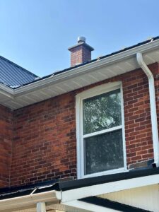 Simcoe Pest X - Pest Control and Exterminator Barrie