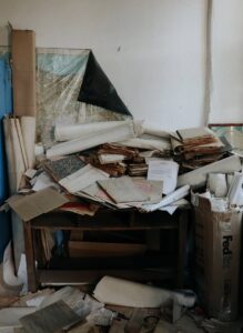Clutter Pest Infestations