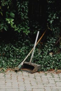 Yard Maintenance to Prevent Pests