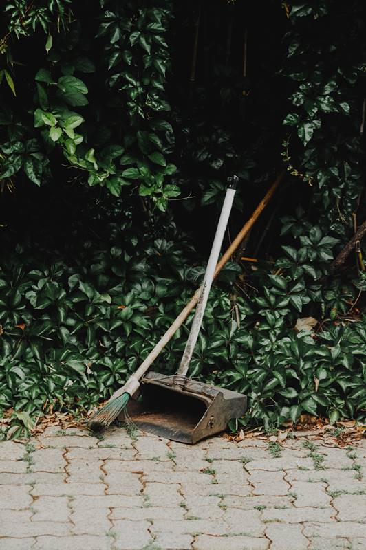Yard Maintenance to Prevent Pests
