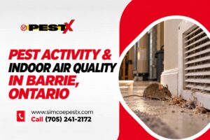 How Pest Activity Affects Indoor Air Quality