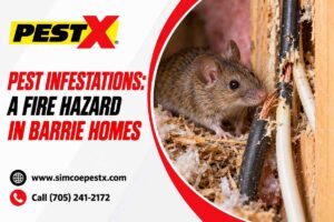 Pest Infestations and Fire Hazard