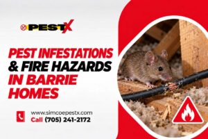 Fire Hazard by Pest Infestations